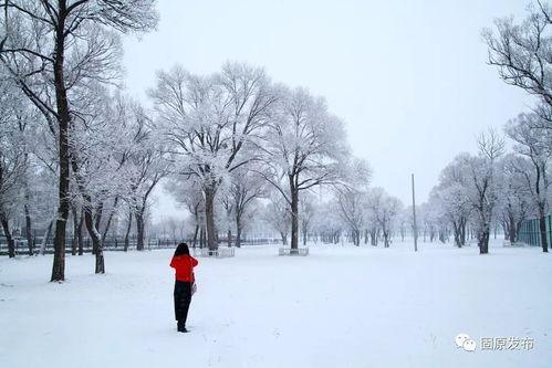 塞北雪微头条号,探寻雪域秘境，感受冰雪奇缘