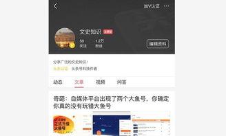 头条号手机认证怎么过,头条号认证攻略揭秘