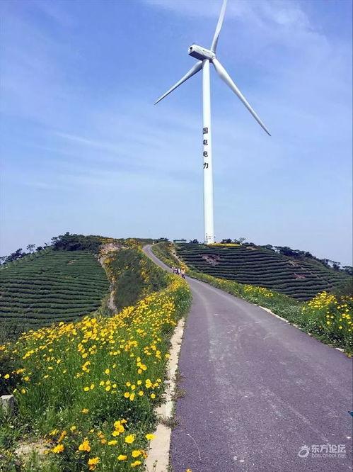 无锡网红大风车在哪里