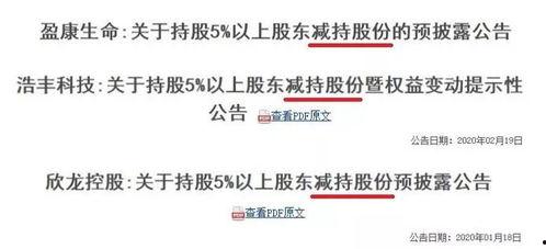 吃瓜股东,股市风云中的神秘力量