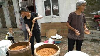 清香的泥土头条,揭秘自然之美与生态和谐