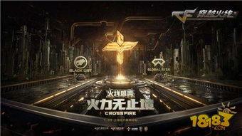 火线明星大玩家