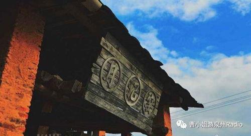 上陶村网红,网络红人引领下的乡村新风尚