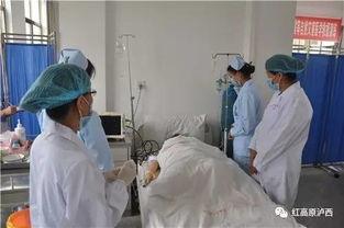 西医内科大夫吃瓜,揭秘医者生活中的趣味瞬间