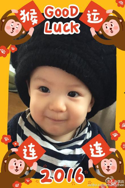 小猴子明星,从森林到荧屏的璀璨蜕变